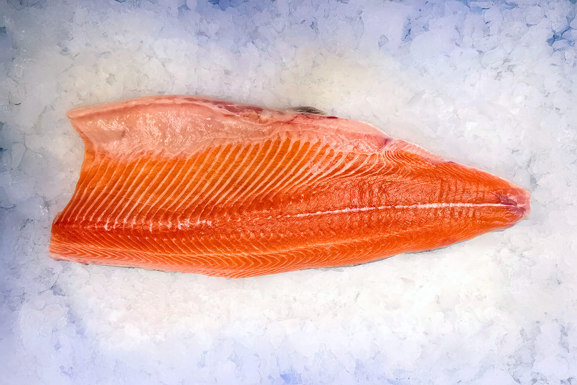 Chilean Salmon Fillet