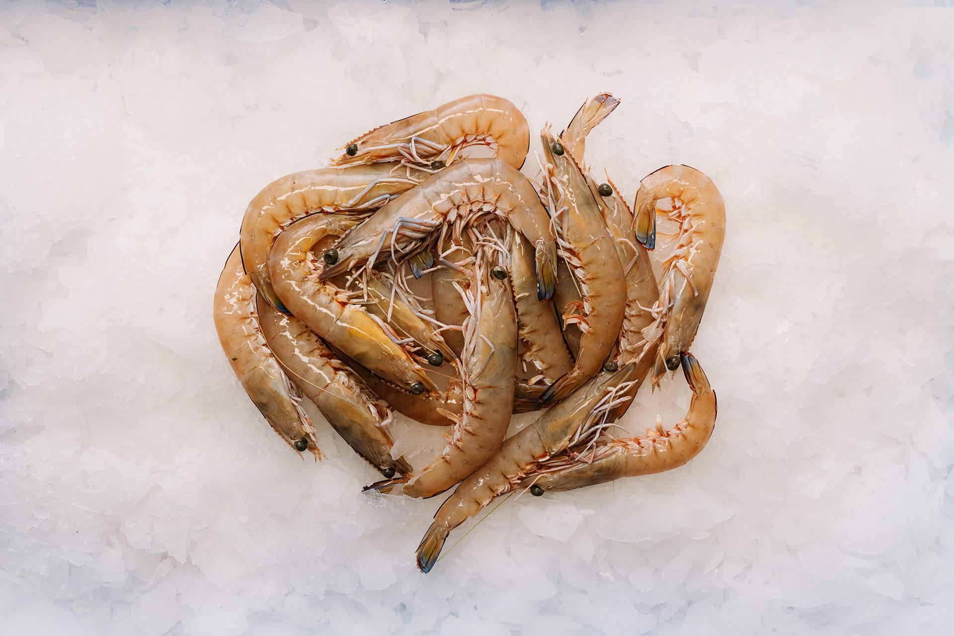 Whole Raw King Prawn