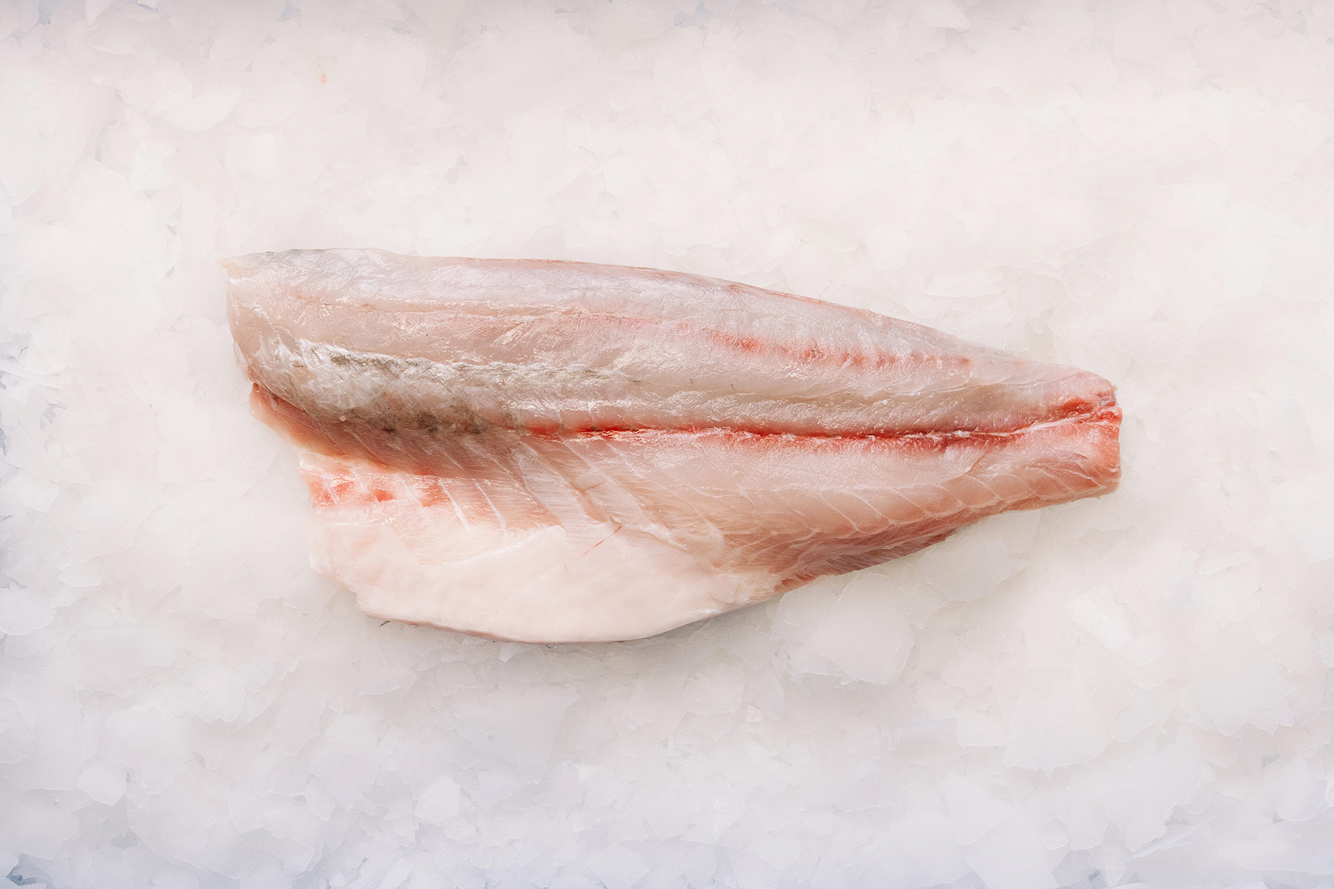 Versatile, Premium and Wild Caught