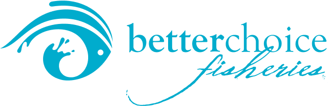 footer-logo footer-logo